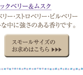 �u���b�N�x���[�����X�N �X���[���T�C�Y