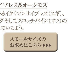 �T�C�v���X���I�[�N���X �X���[���T�C�Y