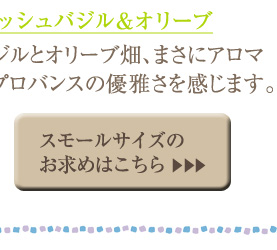 �t���b�V���o�W�����I���[�u  �X���[���T�C�Y