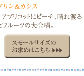 �}���_�������J�V�X �X���[���T�C�Y