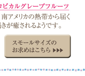 �g���s�J���O���[�v�t���[�c �X���[���T�C�Y