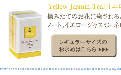 �C�G���[�W���X�~���e�B�[ ���M�����[�T�C�Y