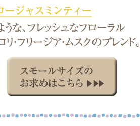 �C�G���[�W���X�~���e�B�[�X���[���T�C�Y