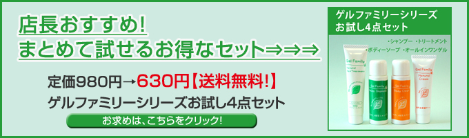 �y���������z�Q���t�@�~���[�������T���v��4�_�Z�b�g